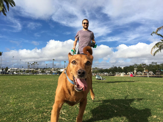 Matt Connor Dog