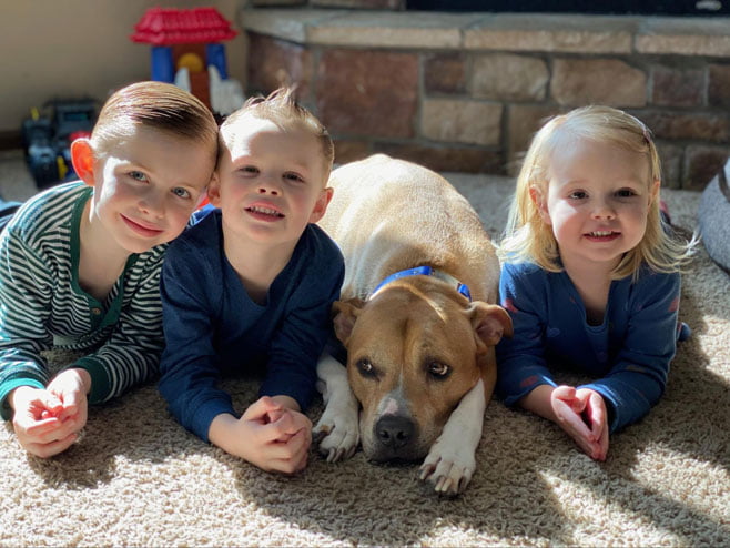 Dave Swift Children with Pitbull